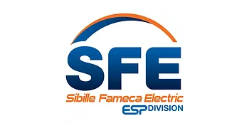 Logo sfe